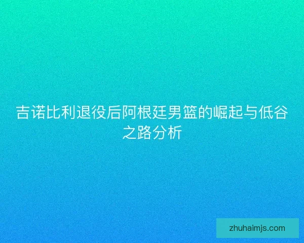 吉诺比利退役后阿根廷男篮的崛起与低谷之路分析 吉诺比利退役后阿根廷男篮的崛起与低谷之路分析